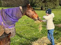 Jilly Park Farm Interactive Experience