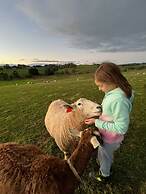Jilly Park Farm Interactive Experience