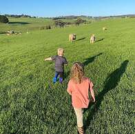 Jilly Park Farm Interactive Experience