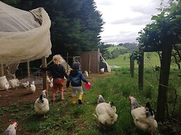 Jilly Park Farm Interactive Experience