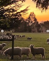 Jilly Park Farm Interactive Experience