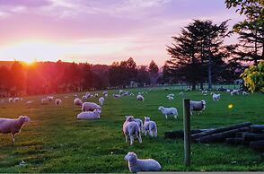 Jilly Park Farm Interactive Experience