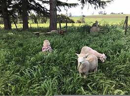 Jilly Park Farm Interactive Experience