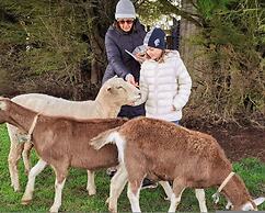 Jilly Park Farm Interactive Experience