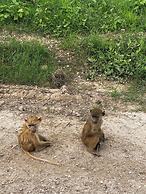 Eco Mara Tented Camp