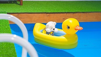 Anmyeondo Town 1967 Dog Pool Villa