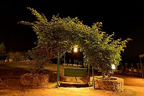 Hotel Castle Rock Mount Abu by SAH