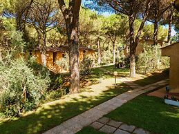 Residence with pool in Guardistallo