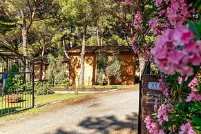 Residence with pool in Guardistallo