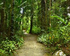 Misty Mountains Rainforest Retreat