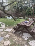 The swan inn