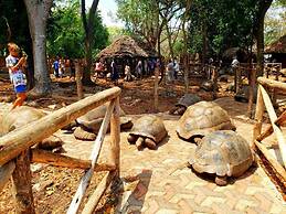 Stonefish Inn Jambiani