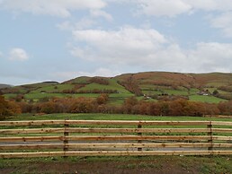 Collfryn