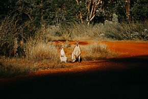 Bullo River Station
