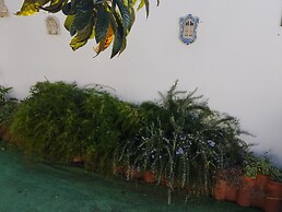 Casa Sarguito