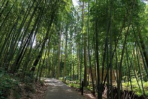 Tsuwabuki-no-Hana