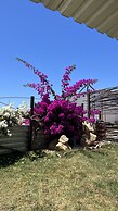 Santerra, Guadalupe Valley