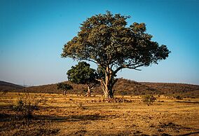 Ilanga Lodge