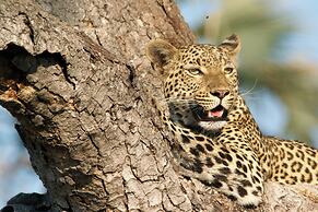 Ilanga Lodge