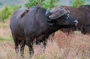 Ilanga Lodge