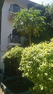 WARERE TOWN HOUSE