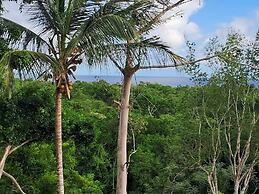 Caney Taino