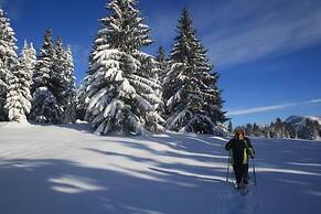 Alpin Chalets Oberjoch