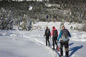 Alpin Chalets Oberjoch