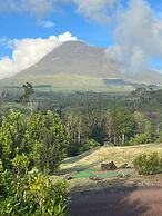 Pico Terrace