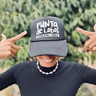Viento Bravo
