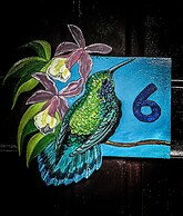 Cabinas Tropicales