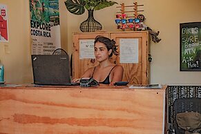 Habitat Surf Glamp