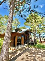 Pine Scape Lodge | Jacuzzi | BBQ | Pool | Mango Hosting