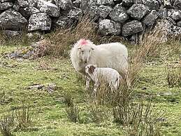 Craig Yr Ronwy
