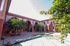 L'oasis de Kima