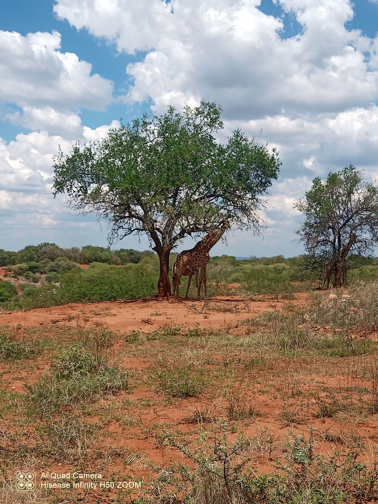 Ou Kraal tented Lodge