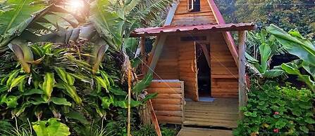 Banana Eco Camp