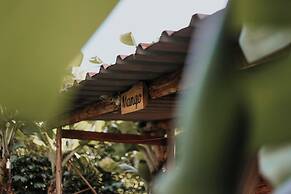 Banana Eco Camp