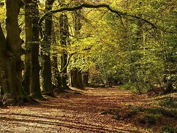 5 Southern Place