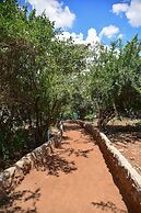 Olkeri chalete