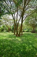 Olkeri chalete