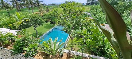Villa Nesara