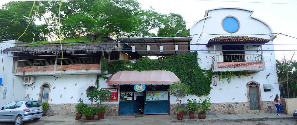 The Octopus's Garden