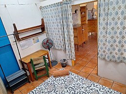 The Octopus's Garden
