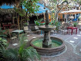 The Octopus's Garden