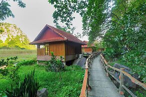 Lotus Field Homestay