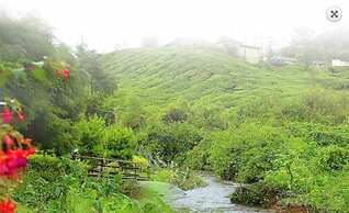 Hotel C7 Munnar