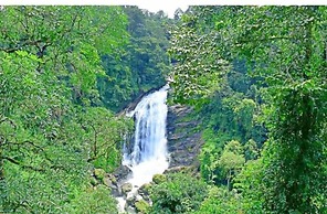 Hotel C7 Munnar