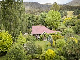 Magical Lucindale - 4 Bedroom House