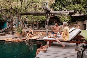 Wonderland Cape Town